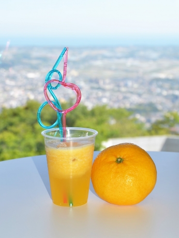 田原産甘夏の生ジュース 東愛知新聞