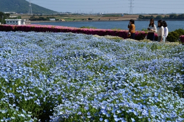 サンテパルク 田原