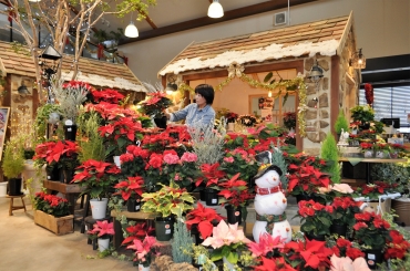 豊橋の はなやさい でレッドフェア 東愛知新聞