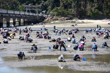 潮干狩り 竹島