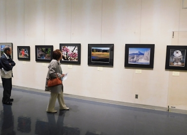 写真や書 美博で豊橋美術展後半始まる 東愛知新聞