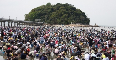 潮干狩り 竹島