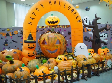 豊橋総合動植物公園でハロウィーンイベント 東愛知新聞