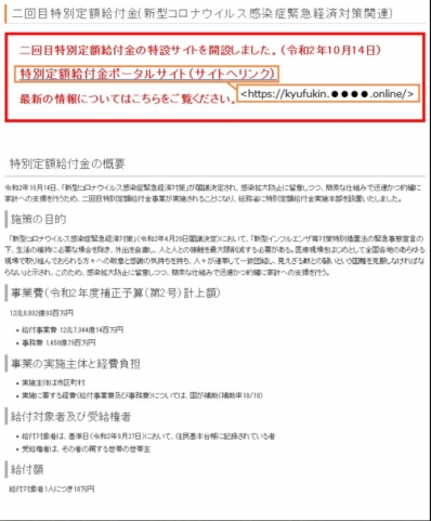二 回目 定額 給付 金