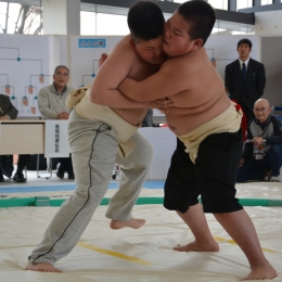 相撲大会「ここにこ場所」ちびっこ力士熱戦