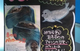 豊橋総合動植物公園がツイッターで黒板アートコン