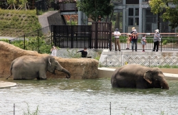 豊橋総合動植物公園が世界動物園水族館協会に加盟