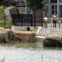 豊橋総合動植物公園が世界動物園水族館協会に加盟
