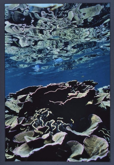 企画展では凉を感じる作品が並ぶ(提供)