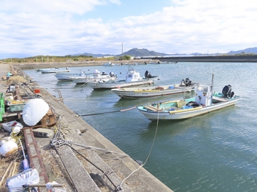停泊している漁船。漁港周辺に人家はない=田原市伊川津町で