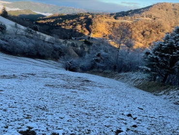 茶臼山高原の初雪(提供)