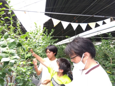 多くの農園が可能な限り来園者を受け入れた=田原市中山町で(提供)
