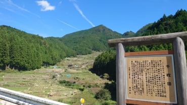 原風景が楽しめる四谷の千枚田
