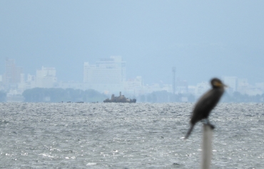 三河湾に浮かぶ仏島(蒲郡市西浦町から撮影)