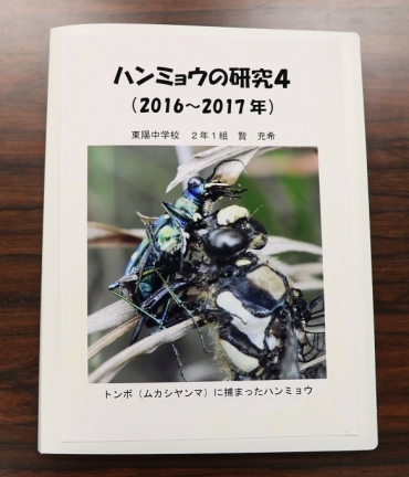 贄さんの「ハンミョウの研究4」