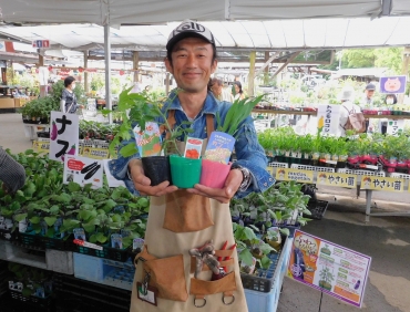 今植え時の野菜苗を紹介する亀山店長