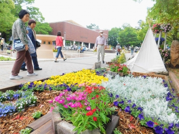 色とりどりの花壇を楽しむ来場者=豊橋公園で