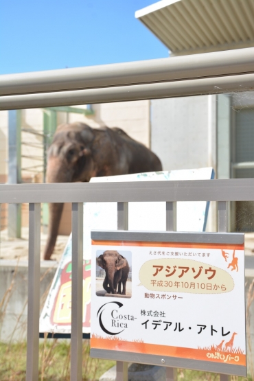 アジアゾウの獣舎前に飾られてスポンサー名=のんほいパークで