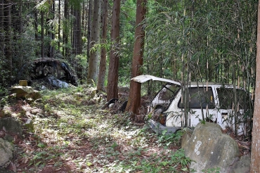 廃車やビニールハウスも残る=同