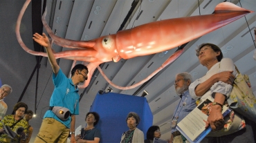 神秘に包まれた深海の世界が体感できる企画展「深海の玉手箱」=豊橋市自然史博物館で