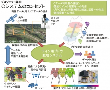 宇宙つかってみりん