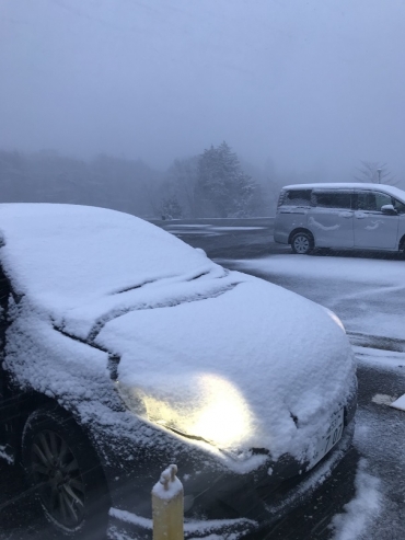 車に積もった雪