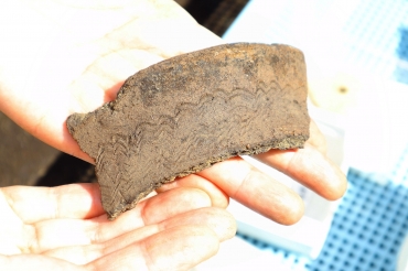 弥生式土器の破片に刻まれた文様