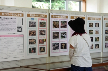 パネル展示で紹介