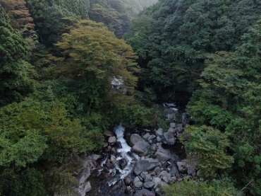 紅葉が始まっている