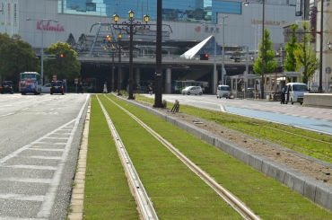 芝生化された市電の軌道敷=豊橋・駅前大通りで