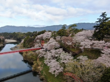 神秘的な右岸側=桜淵公園周辺で