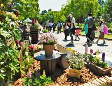 色とりどりの花壇が並ぶ会場=いずれも豊橋公園で