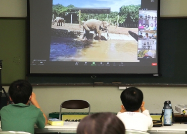 マレーシアからの映像でボルネオゾウについて学ぶ小学生ら=のんほいパークで
