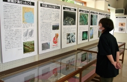 新城市鳳来寺山自然科学博物館 特別展「『新城市の自然誌』から探る」