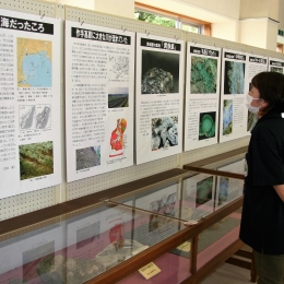 新城市鳳来寺山自然科学博物館 特別展「『新城市の自然誌』から探る」