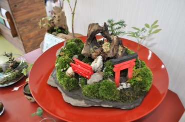 松井さんが作った「苔盆景」