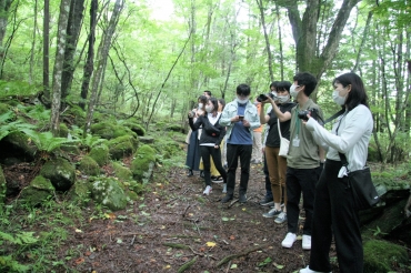 森を散策する参加者=いずれも茶臼山高原で