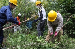 8市町村の若手職員25人が森林作業