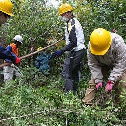 8市町村の若手職員25人が森林作業