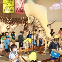 「ポケモン化石博物館」観覧者13万8995人