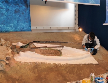 インカクジラの下顎骨のレプリカ作り=蒲郡市生命の海科学館で