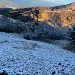 豊根・茶臼山高原に初雪 昨年より24日遅く