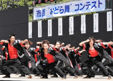 切れのある踊りでおいでん大賞に輝いたかわしん演舞団=豊川市野球場で