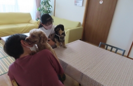 保護犬が自立の支えに 豊橋の障害者グループホーム