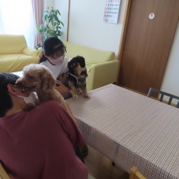 保護犬が自立の支えに 豊橋の障害者グループホーム