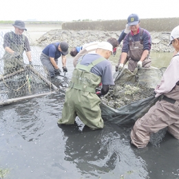 汐川干潟でモニタリング調査継続