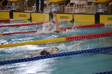 水泳大会の背泳ぎ競技