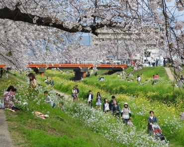 春には大勢の花見客が訪れる