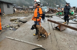 「捜索救助犬HDS-K9」が地震被災地で活動
