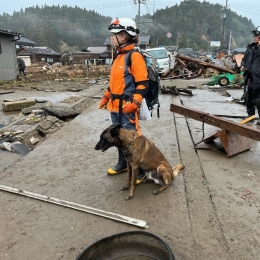 「捜索救助犬HDS-K9」が地震被災地で活動